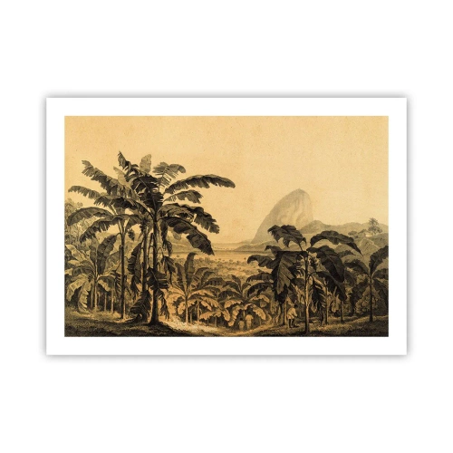 Poster - in einem kolonialen Klima - 70x50 cm