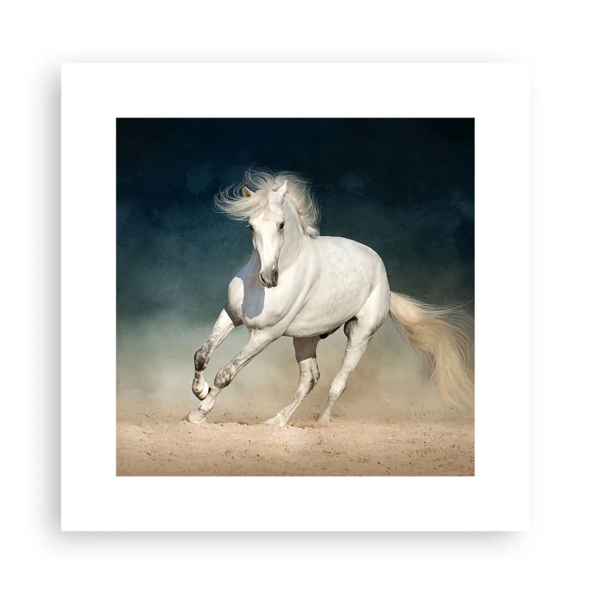 Poster - Freiheit in ihrem reinen Zustand - 30x30 cm