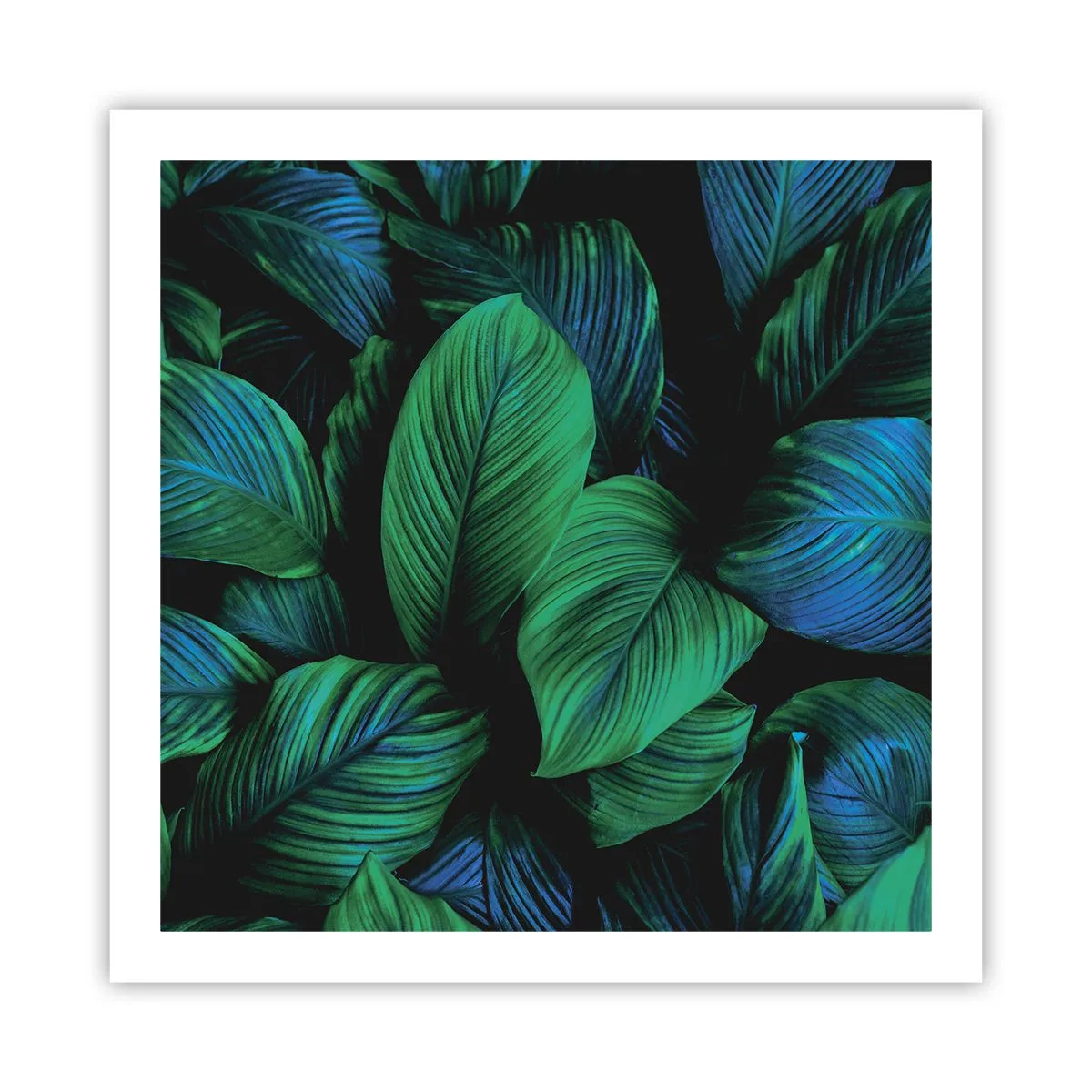 Poster - In der grünen Menge - 60x60 cm