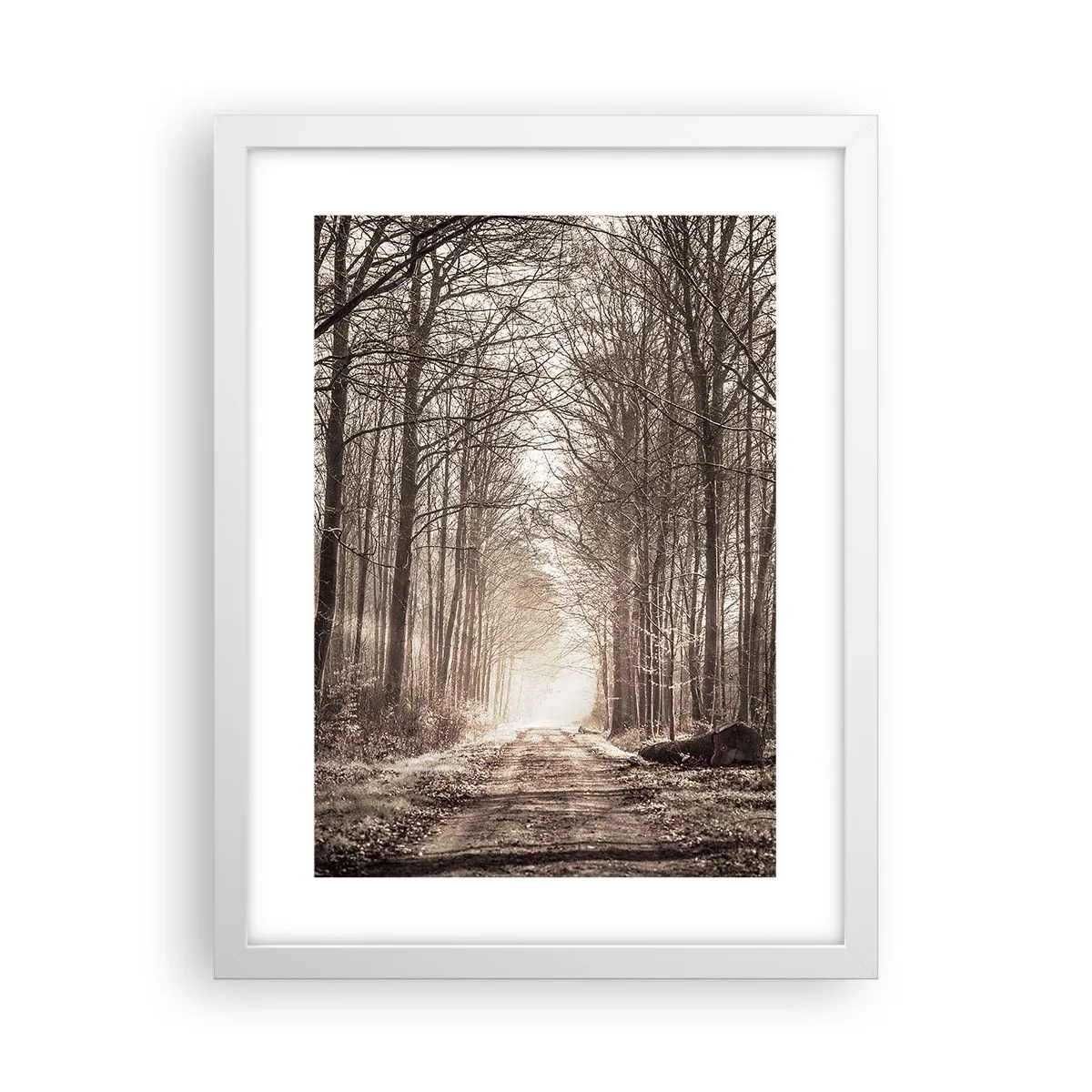 Poster in einem weißen Rahmen - Waldkathedrale - 30x40 cm