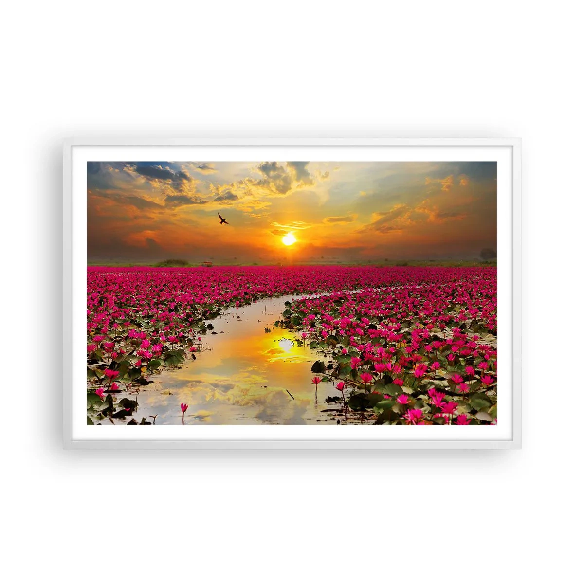 Poster in einem weißen Rahmen - Das geheime Leben des Sees - 91x61 cm