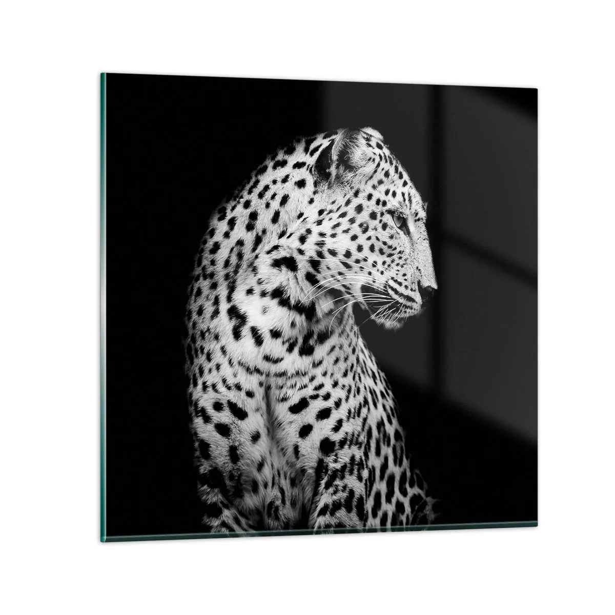 Glasbild - Bild auf glas - Rechtes Profil perfekt! - 30x30 cm