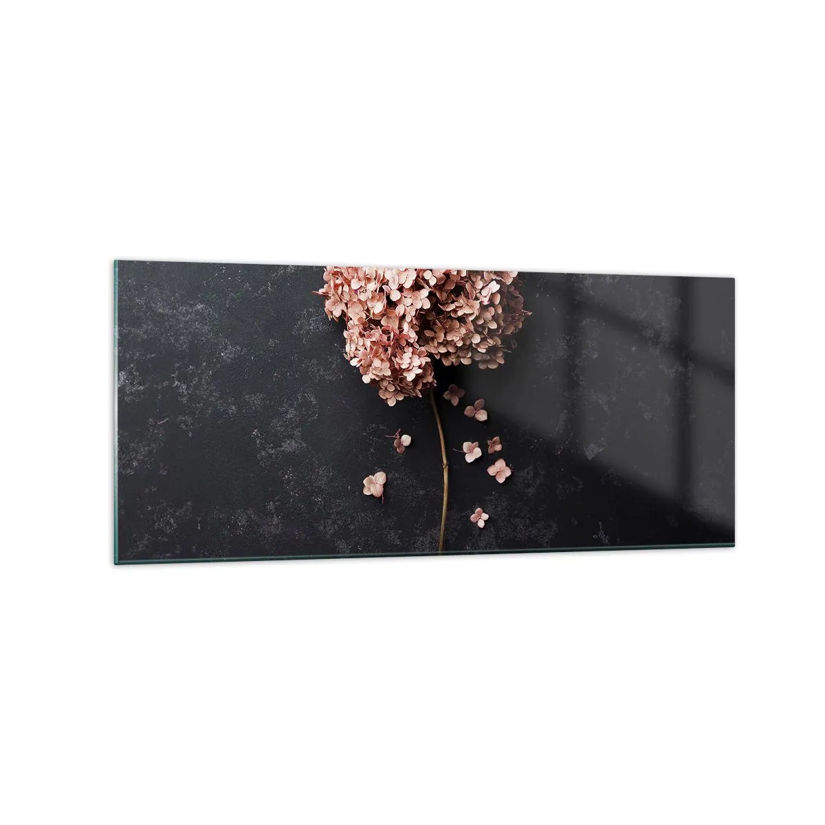 Glasbild - Bild auf glas - Eine zarte Hortensienblüte auf dunklem Hintergrund - 120x50cm - Wirklich romantisches Zeichen - Moderne Wanddekoration für Wohnzimmer und Schlafzimmer ARTTOR