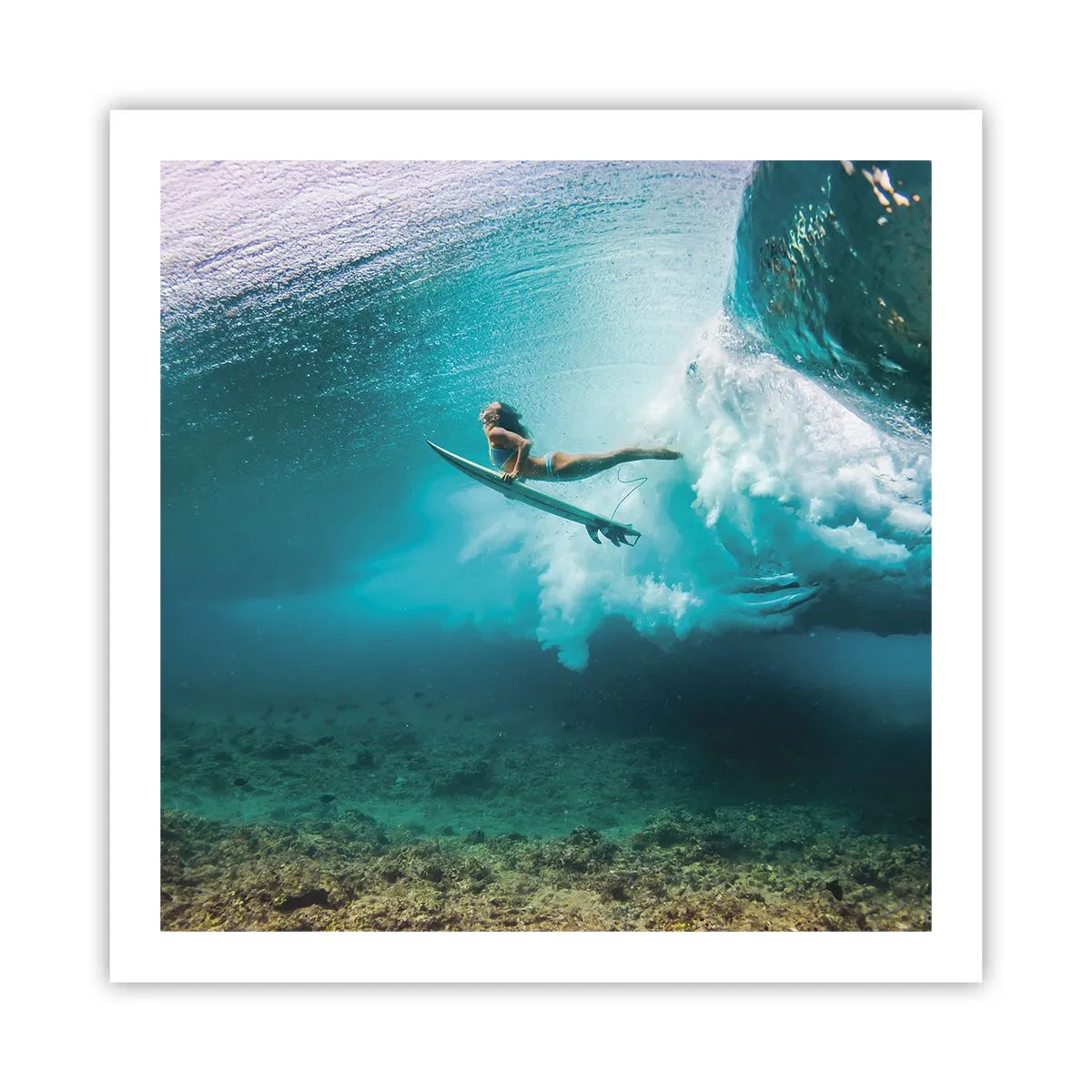 Poster - Unterwasserwelt - 60x60 cm