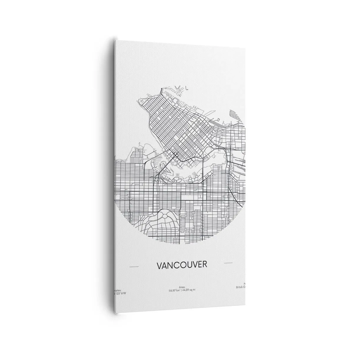 Bild auf Leinwand - Leinwandbild - Anatomie von Vacouver - 65x120 cm