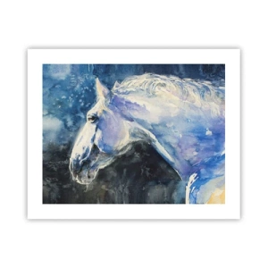 Poster - Porträt in blauem Glanz - 50x40 cm