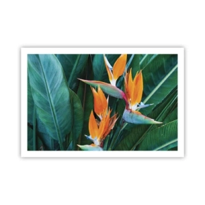 Poster - Ist es eine Blume oder ist es ein Vogel? - 91x61 cm