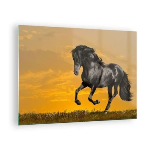 Glasbild - Bild auf glas - Ein schwarzes Pferd galoppiert gegen die untergehende Sonne - 70x50cm - Schön, frei und wild - Moderne Wanddekoration für Wohnzimmer und Schlafzimmer ARTTOR