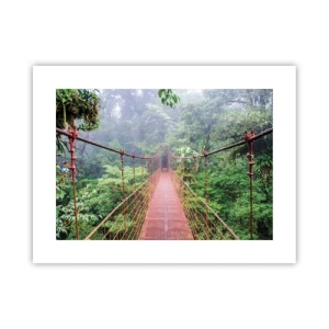 Poster - Über den Kronen aufgehängt - 40x30 cm