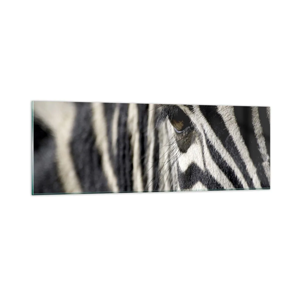 Glasbild - Bild auf glas - Gestreiftes Porträt - 90x30 cm