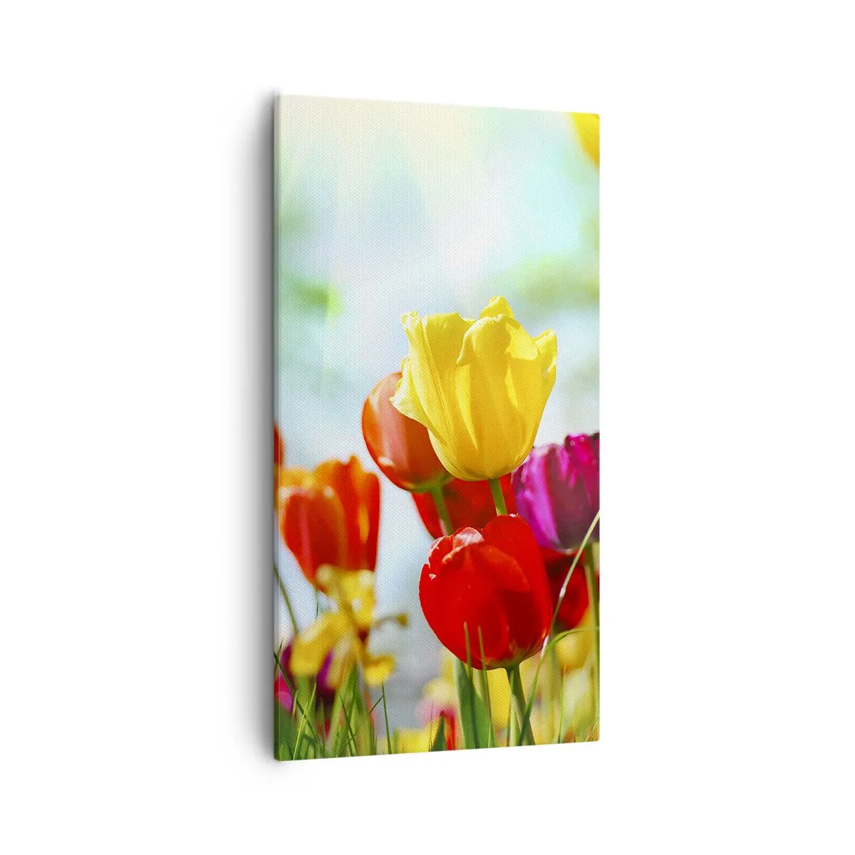 Bild auf Leinwand - Leinwandbild - Alle Farben der Sonne - 55x100 cm