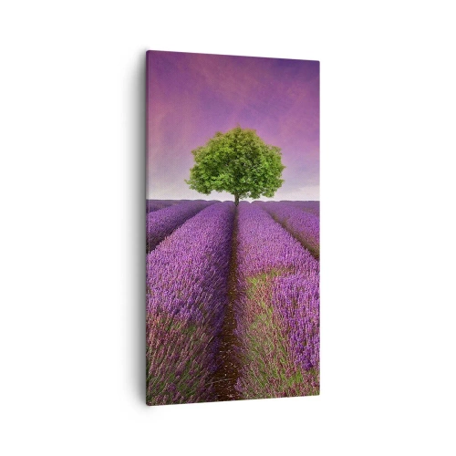 Bild auf Leinwand - Leinwandbild - Auf Lavendelfeldern - 55x100 cm