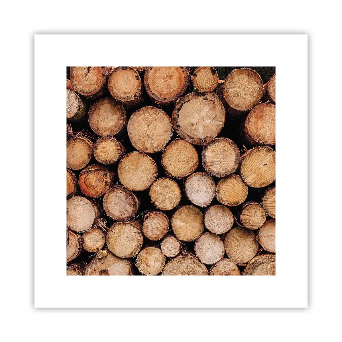 Poster - Ein neuer Anfang - 30x30 cm