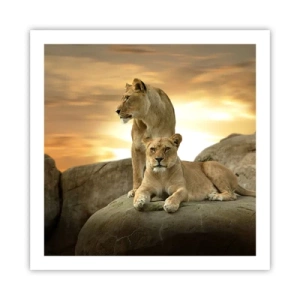 Poster - Königliche Majestät - 60x60 cm