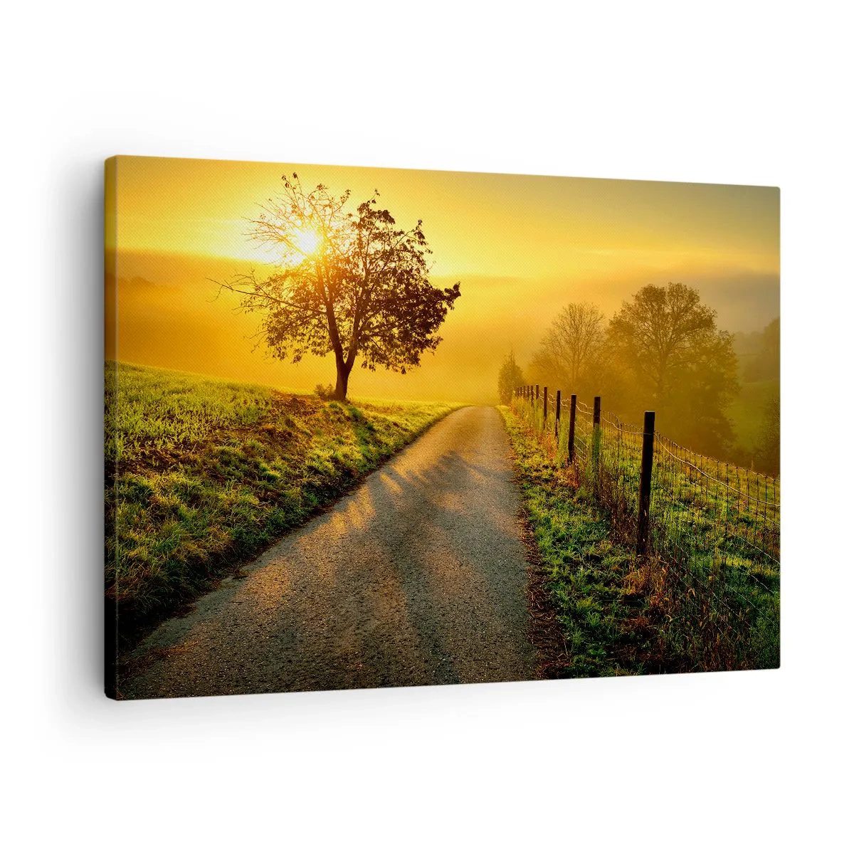 Bild auf Leinwand - Leinwandbild - Eine malerische Straße bei Sonnenuntergang mit einem einsamen Baum im Hintergrund - 70x50cm - Honig-Nachmittag - Moderne Wanddekoration für Wohnzimmer und Schlafzimmer ARTTOR