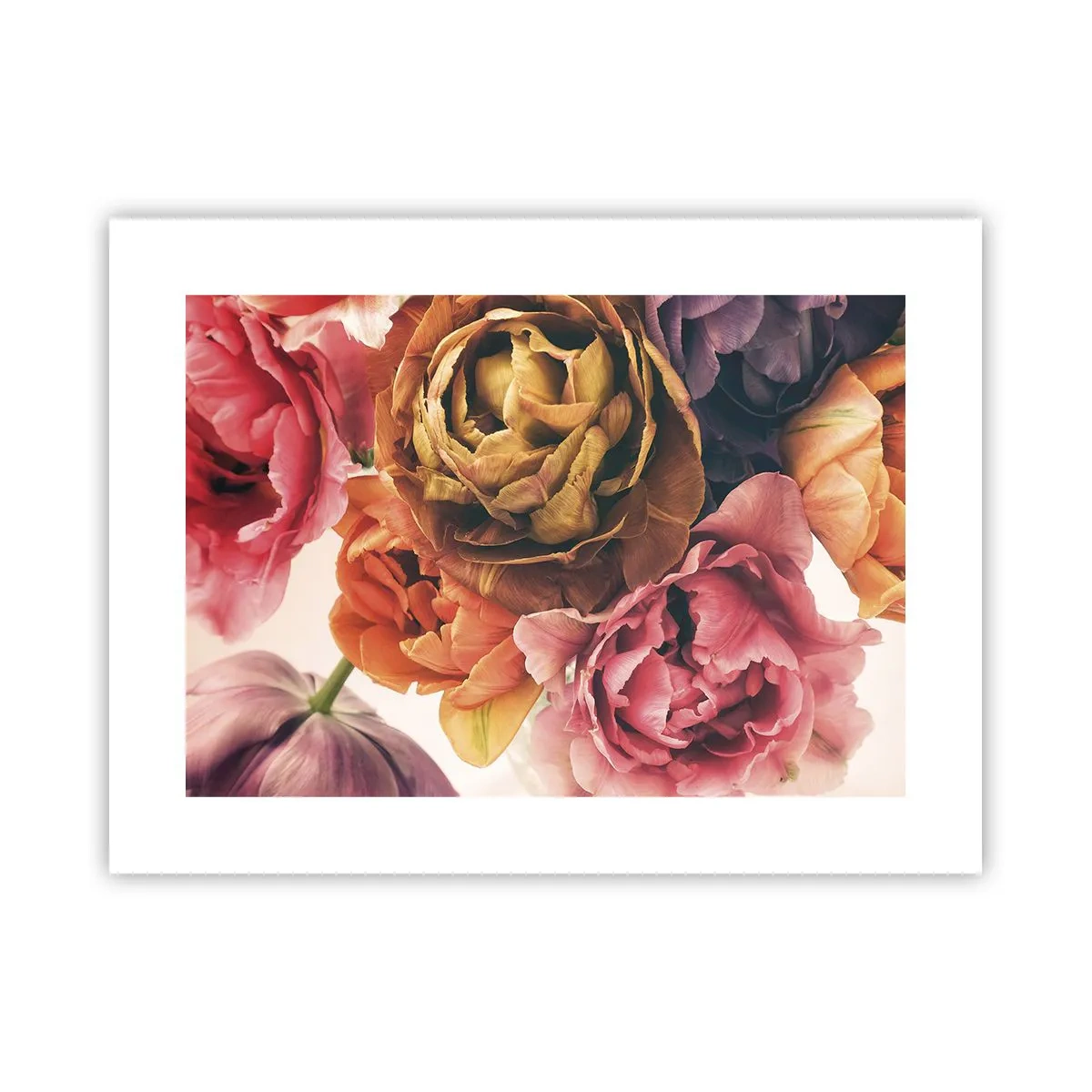 Poster - Eine Feier des Lebens - 40x30 cm