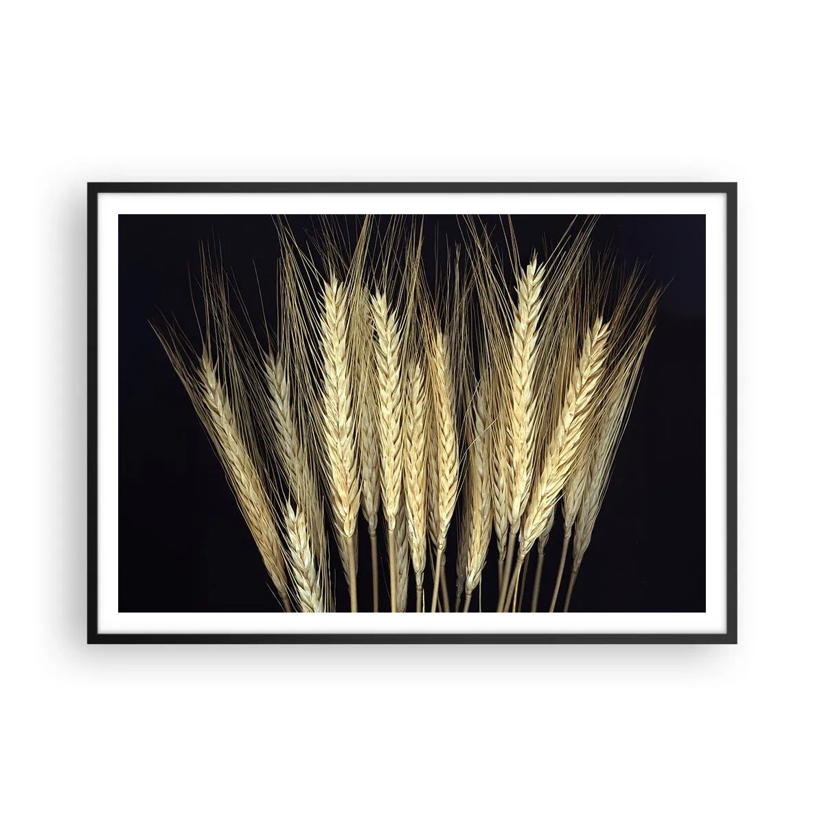 Poster in einem schwarzem Rahmen - Weizenähren auf schwarzem Hintergrund im rustikalen Stil - 100x70cm - Rustikale Magie - Moderne Wanddekoration für Wohnzimmer und Schlafzimmer ARTTOR