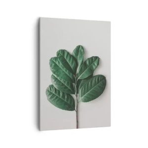 Bild auf Leinwand - Leinwandbild - Ein Zweig grüner Blätter auf hellem Hintergrund - 50x70cm - Eine Zeichnung purer Natur - Moderne Wanddekoration für Wohnzimmer und Schlafzimmer ARTTOR