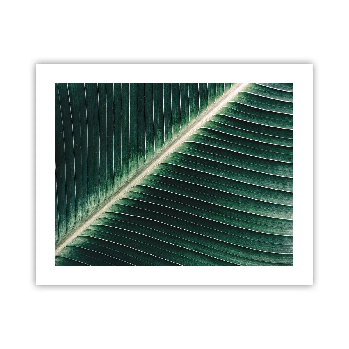 Poster - Rhythmus der Natur - 50x40 cm