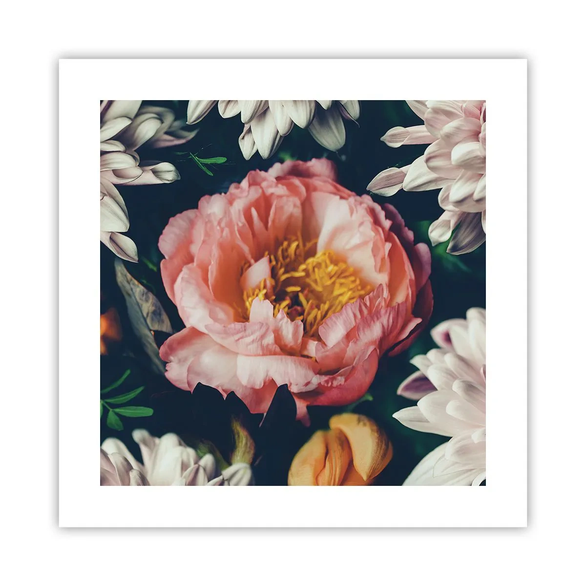 Poster - Mit barocker Pracht - 40x40 cm