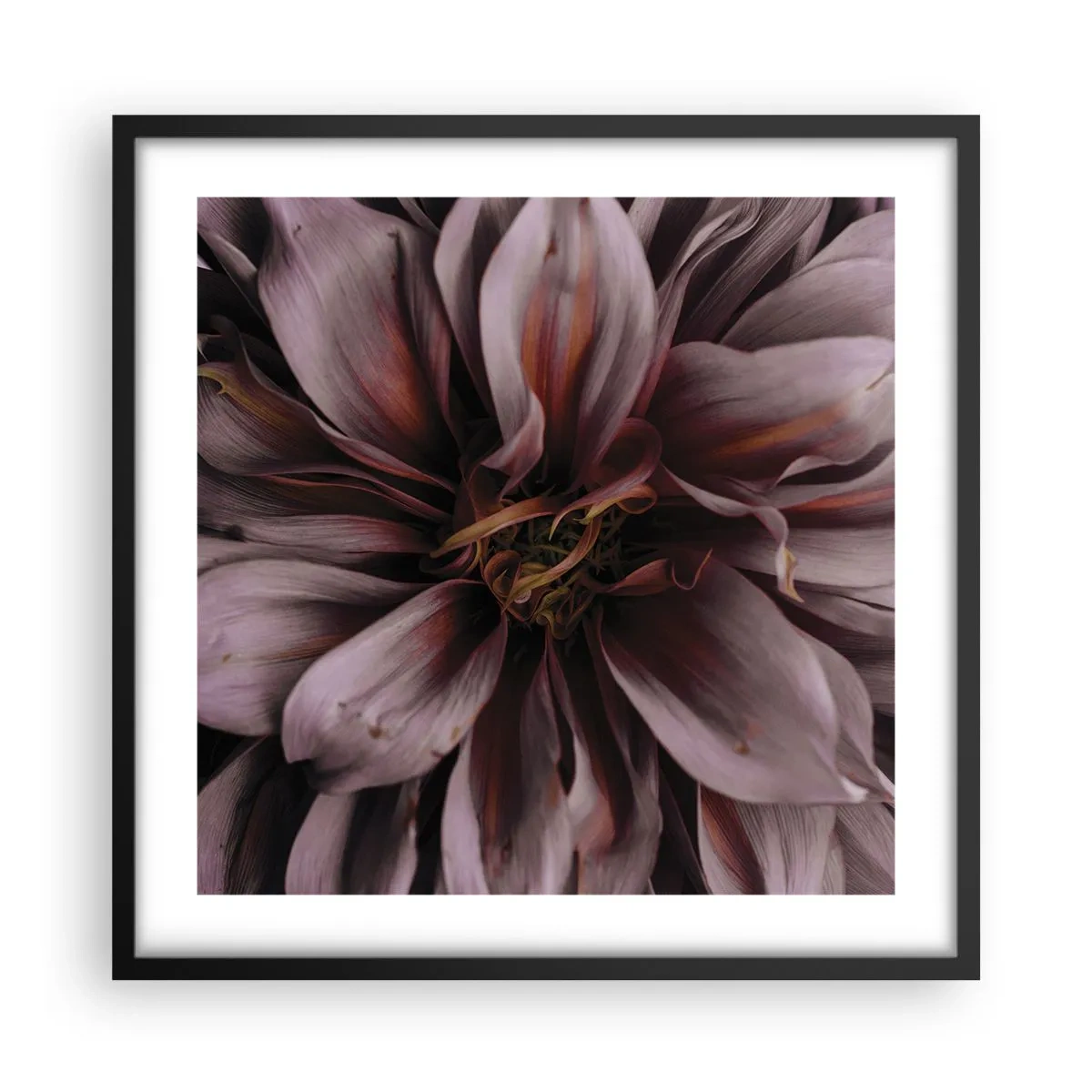 Poster in einem schwarzem Rahmen - Ein Blumenherz - 50x50 cm