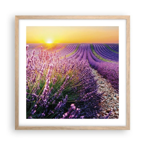 Poster in einem Rahmen aus heller Eiche - Duftende Kornfelder - 50x50 cm