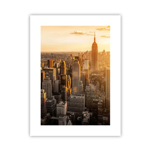 Poster - In der Sonne wachsen - 30x40 cm