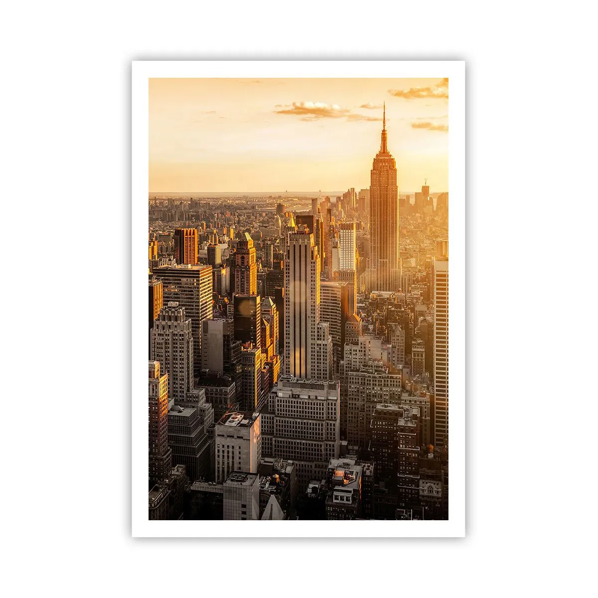 Poster - In der Sonne wachsen - 70x100 cm