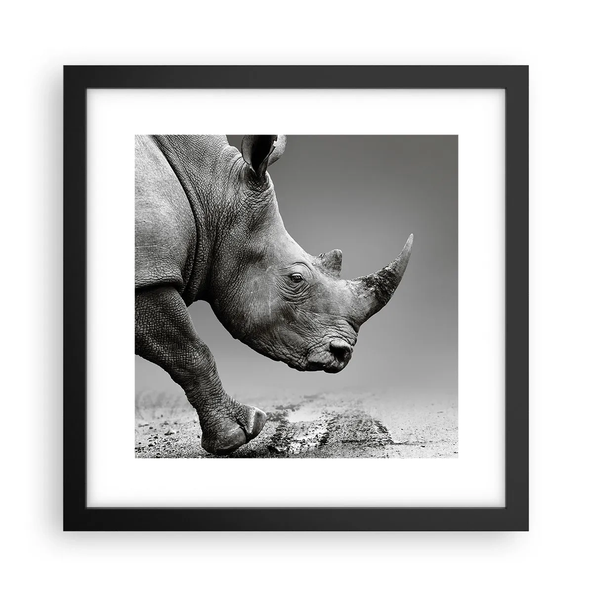 Poster in einem schwarzem Rahmen - Unaufhaltsame Stärke - 30x30 cm