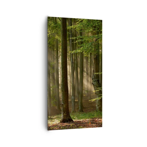 Bild auf Leinwand - Leinwandbild - Strahlend an einem Frühlingsmorgen - 65x120 cm