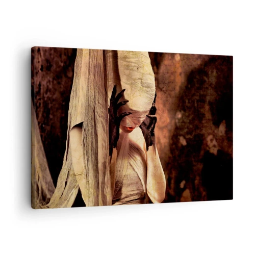 Bild auf Leinwand - Leinwandbild - Eine Frau mit Schleier und geheimnisvollem Styling vor dunklem Hintergrund - 70x50cm - Zwischen Gut und Böse - Moderne Wanddekoration für Wohnzimmer und Schlafzimmer ARTTOR