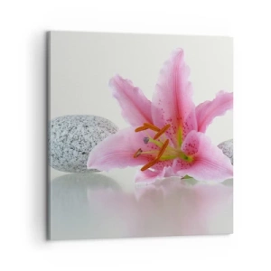 Bild auf Leinwand - Leinwandbild - Eine Studie in Pink, Grau und Weiß - 60x60 cm