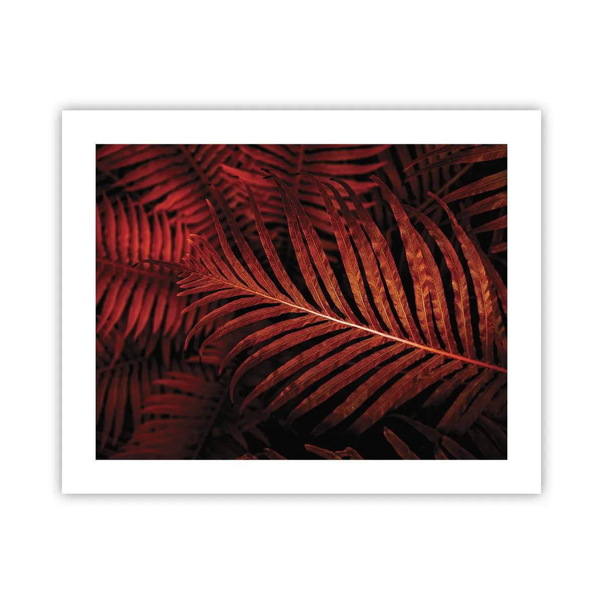 Poster - Die Hitze des Lebens - 50x40 cm
