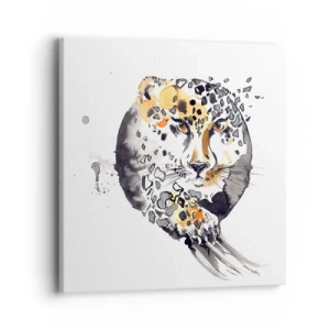 Bild auf Leinwand - Leinwandbild - Raubtierschönheit - 40x40 cm