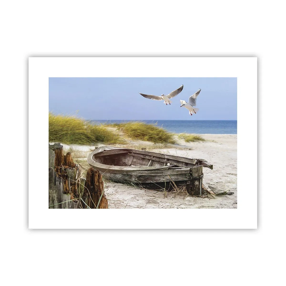 Poster - In Wind gebadet - 40x30 cm