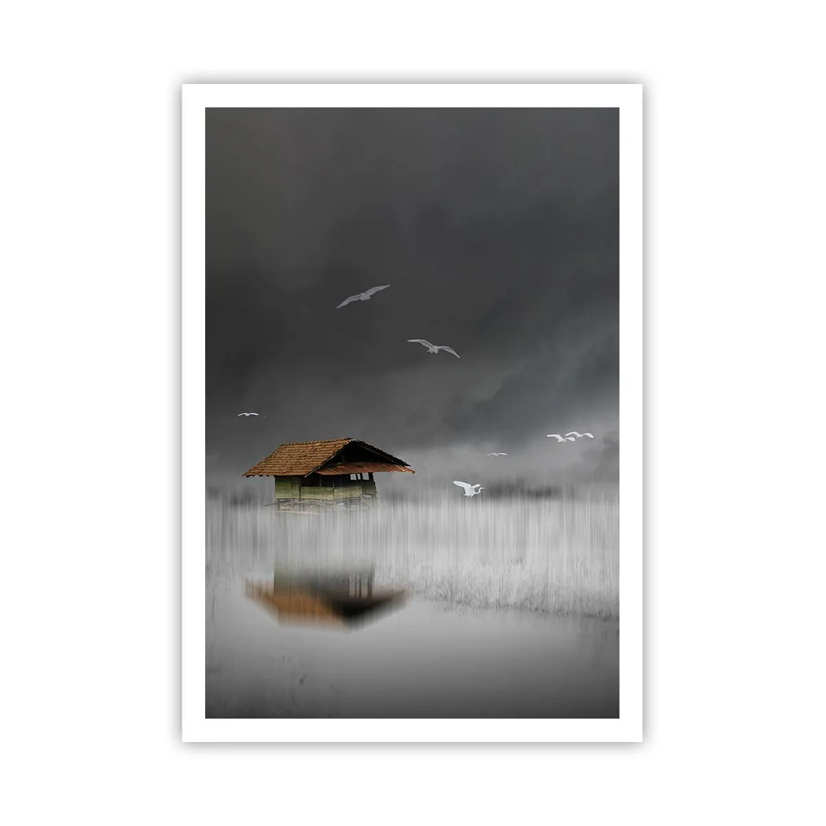 Poster - Schutz vor Regen - 70x100 cm