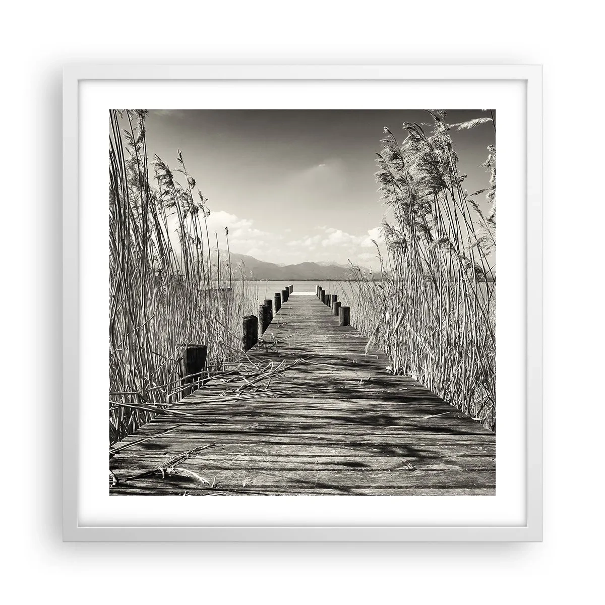 Poster in einem weißen Rahmen - In der Stille des Grases - 50x50 cm