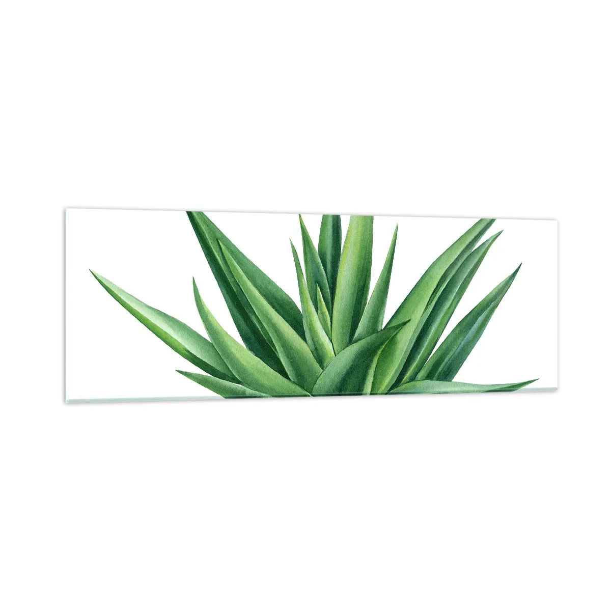 Glasbild - Bild auf glas - Grün – Kraft – Leben - 90x30 cm