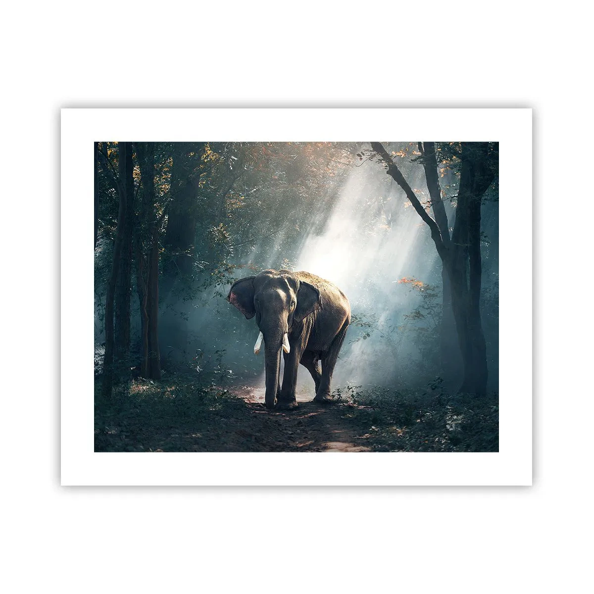 Poster - Ein gemütlicher Spaziergang - 50x40 cm