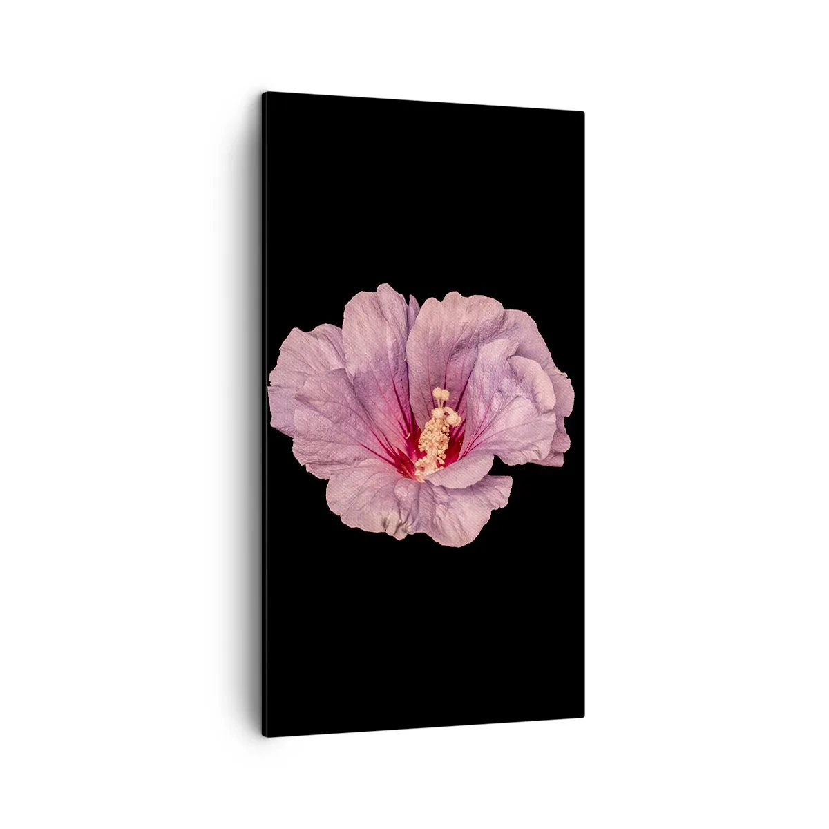 Bild auf Leinwand - Leinwandbild - Direkt ins Herz - 45x80 cm