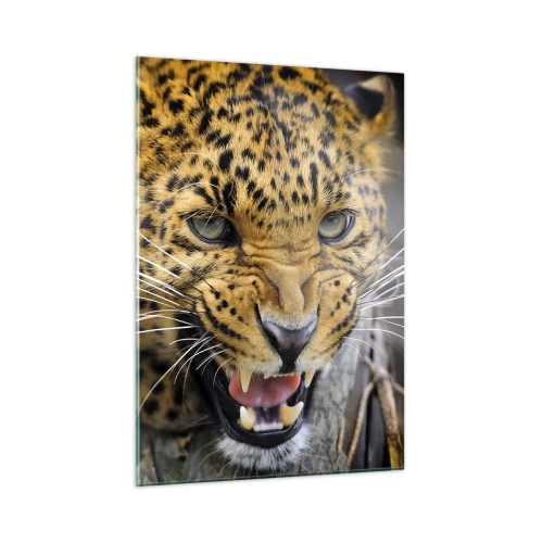 Glasbild - Bild auf glas - Nahaufnahme eines aggressiven Leoparden mit klaren Details - 50x70cm - Bleib zurück, ich warne dich! - Moderne Wanddekoration für Wohnzimmer und Schlafzimmer ARTTOR