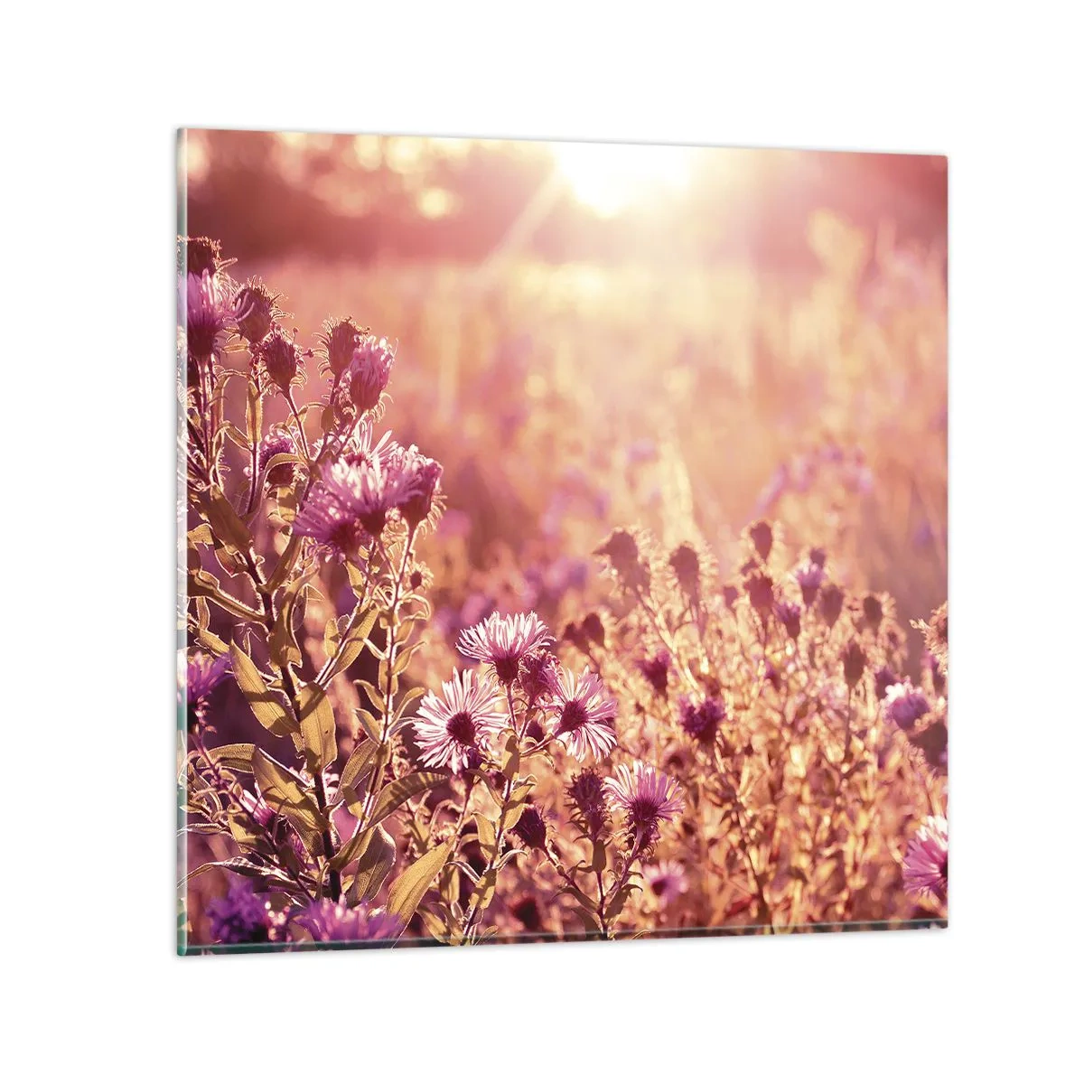 Glasbild - Bild auf glas - Bevor der Sommer vorbei ist - 70x70 cm