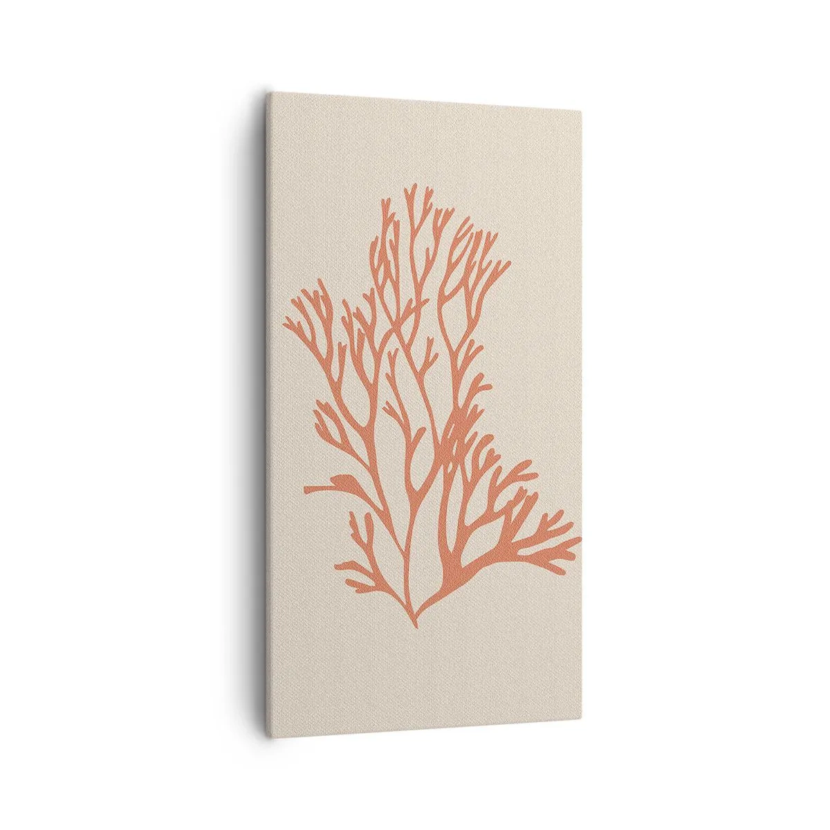 Bild auf Leinwand - Leinwandbild - Korallenfiligran - 55x100 cm