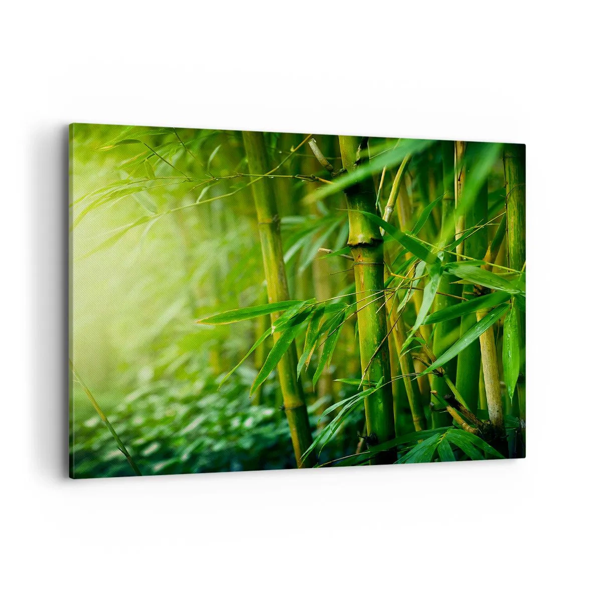 Bild auf Leinwand - Leinwandbild - Grüner Bambuswald in sanftem Licht - 100x70cm - Lerne Grün selbst kennen - Moderne Wanddekoration für Wohnzimmer und Schlafzimmer ARTTOR