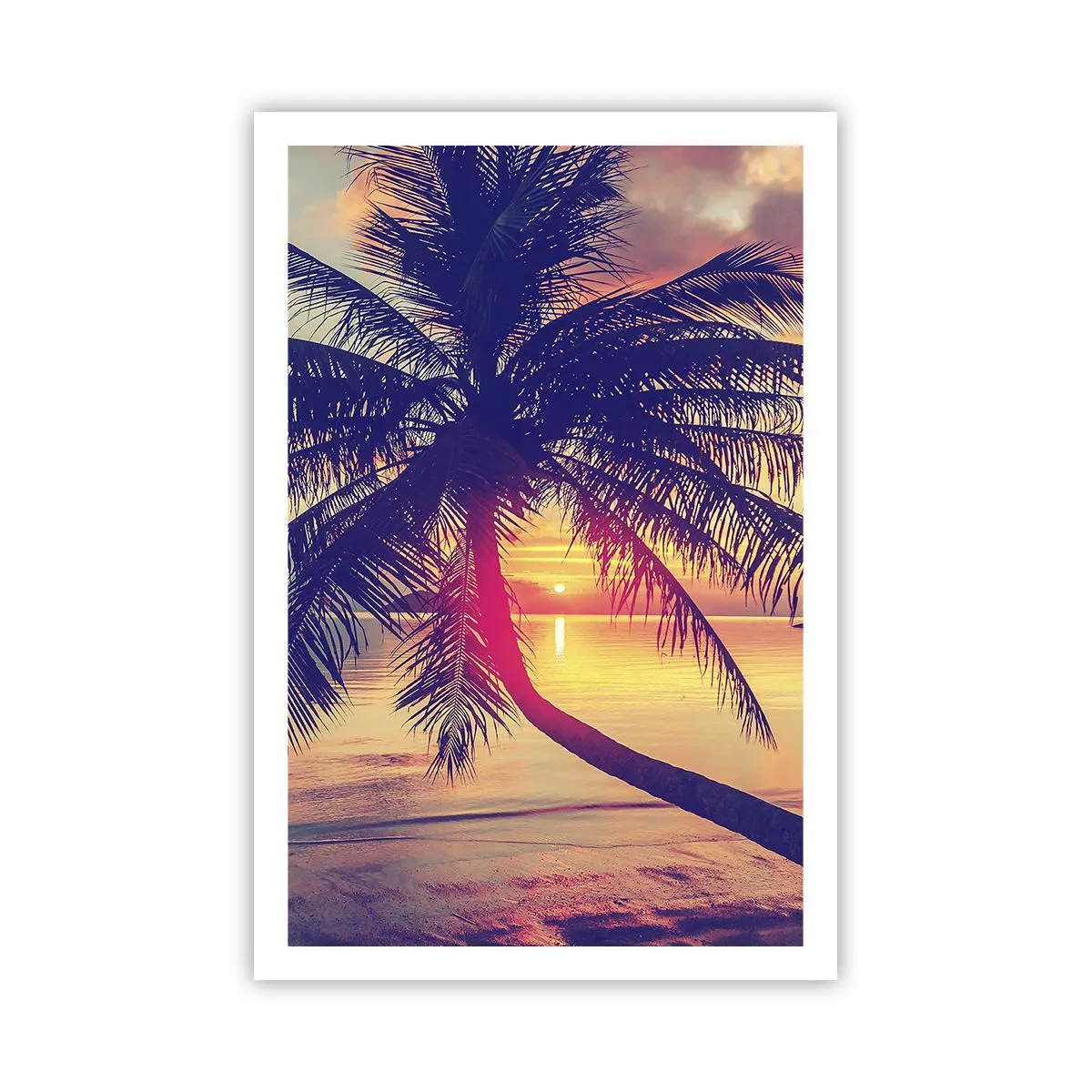 Poster - Abend unter Palmen - 61x91 cm