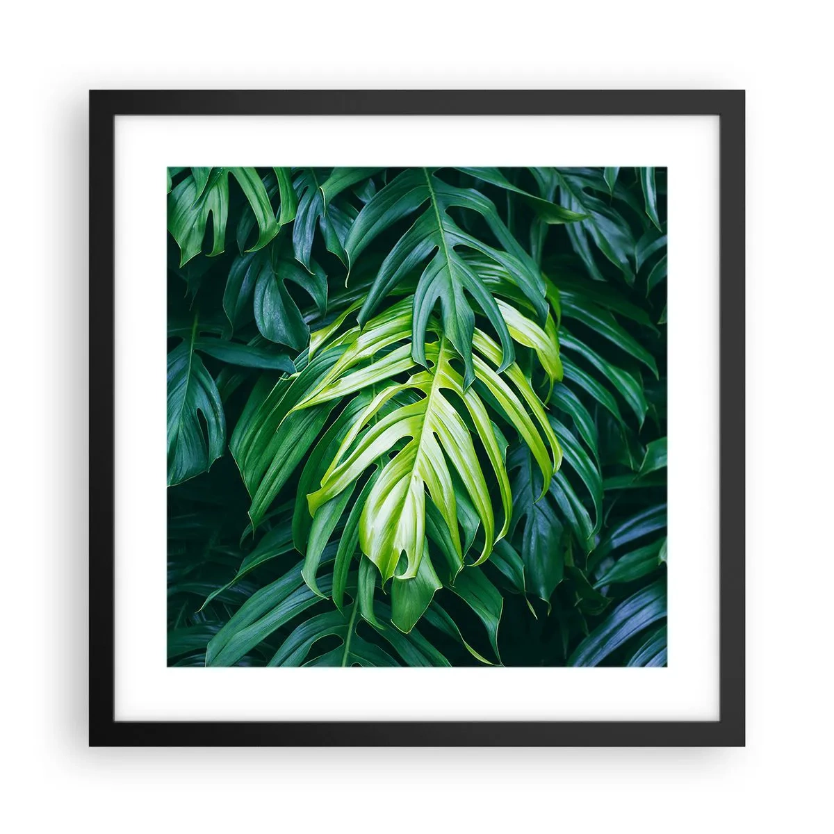 Poster in einem schwarzem Rahmen - Tauchen Sie ein in die Frische - 40x40 cm