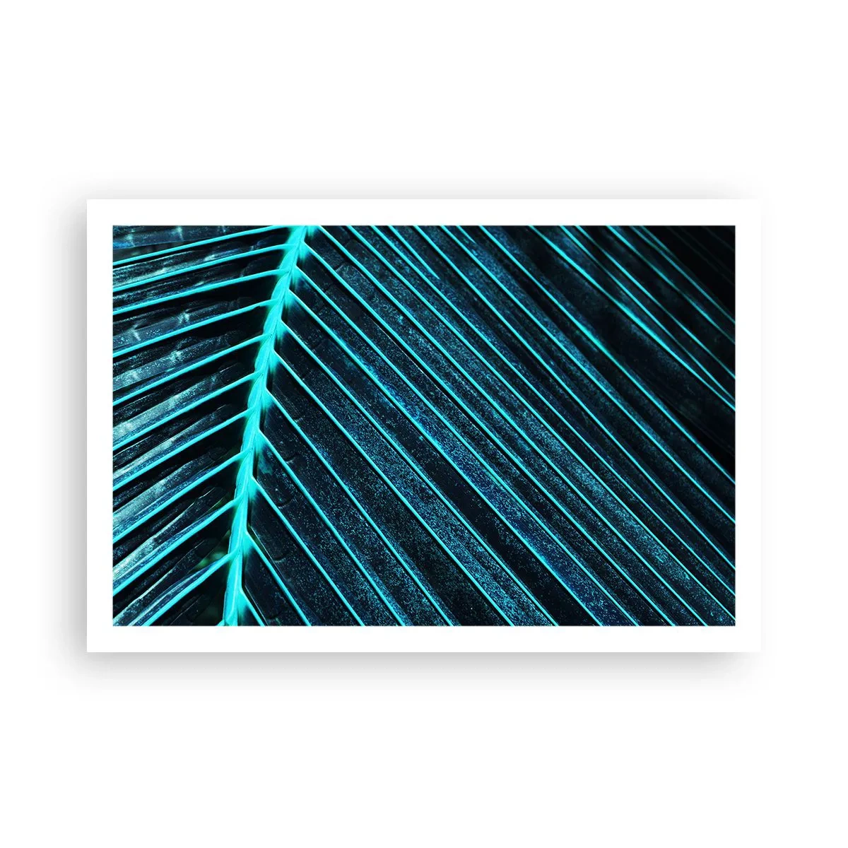 Poster - Grüne Textur - 91x61 cm