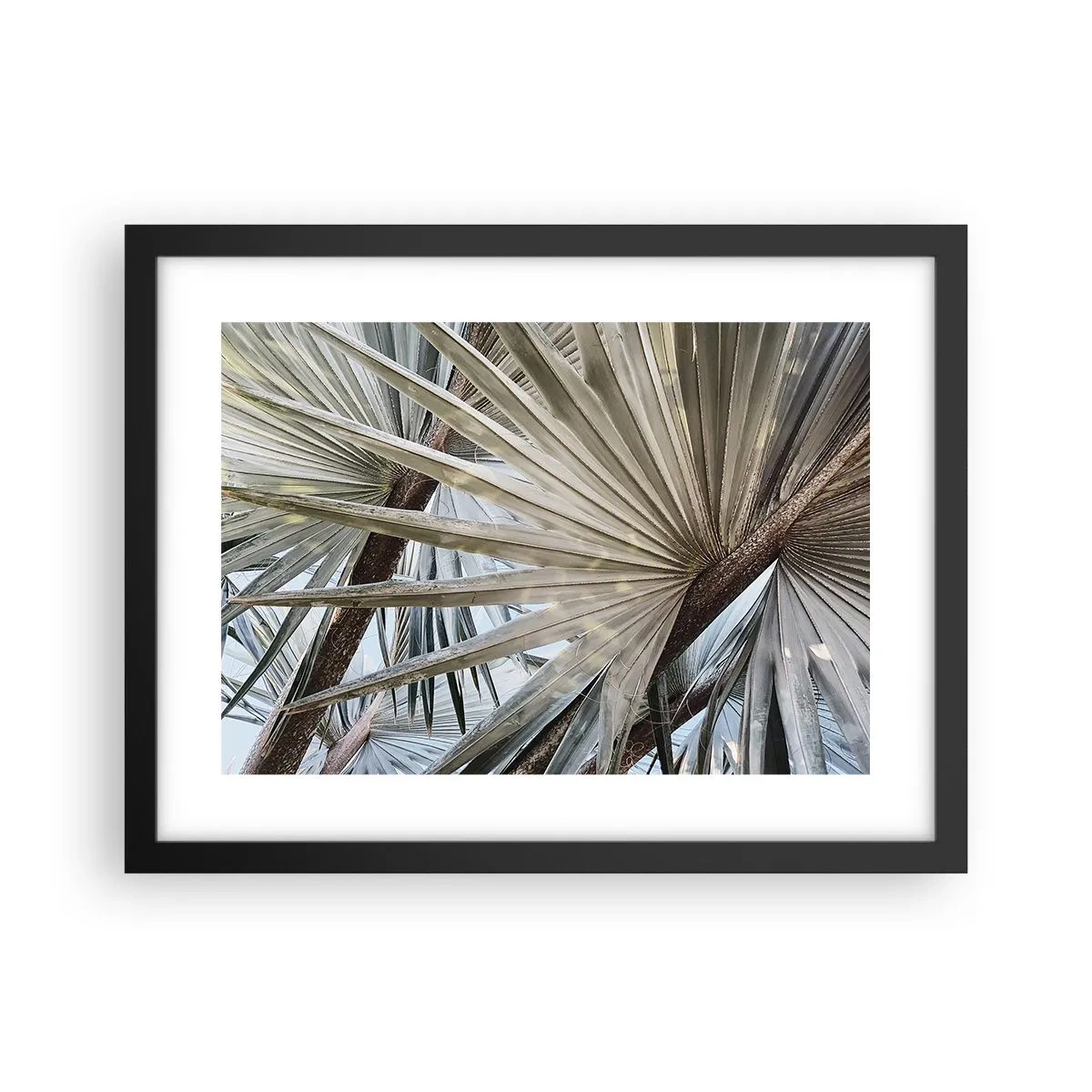 Poster in einem schwarzem Rahmen - Fans in den Tropen - 40x30 cm