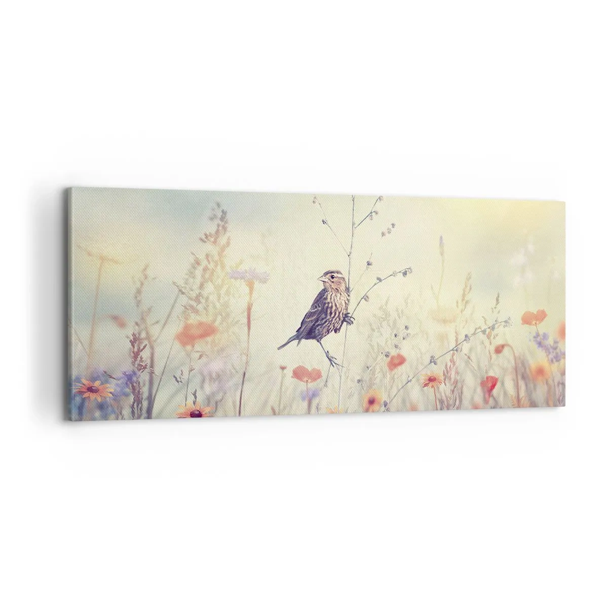 Bild auf Leinwand - Leinwandbild - Vogelporträt mit einer Wiese im Hintergrund - 100x40 cm