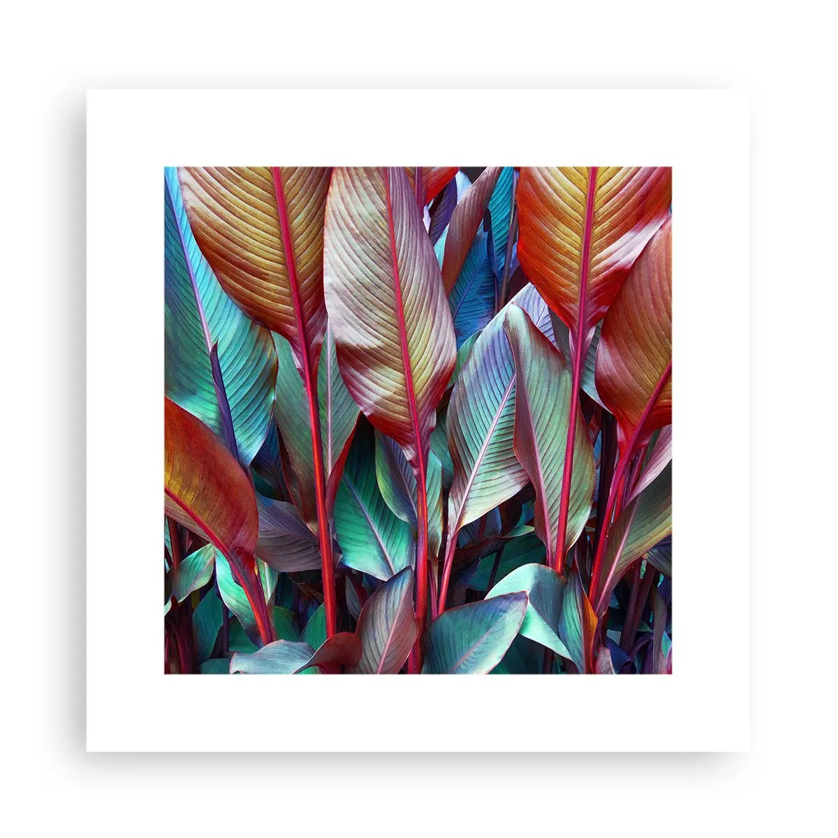 Poster - Buntes Dickicht - 30x30 cm